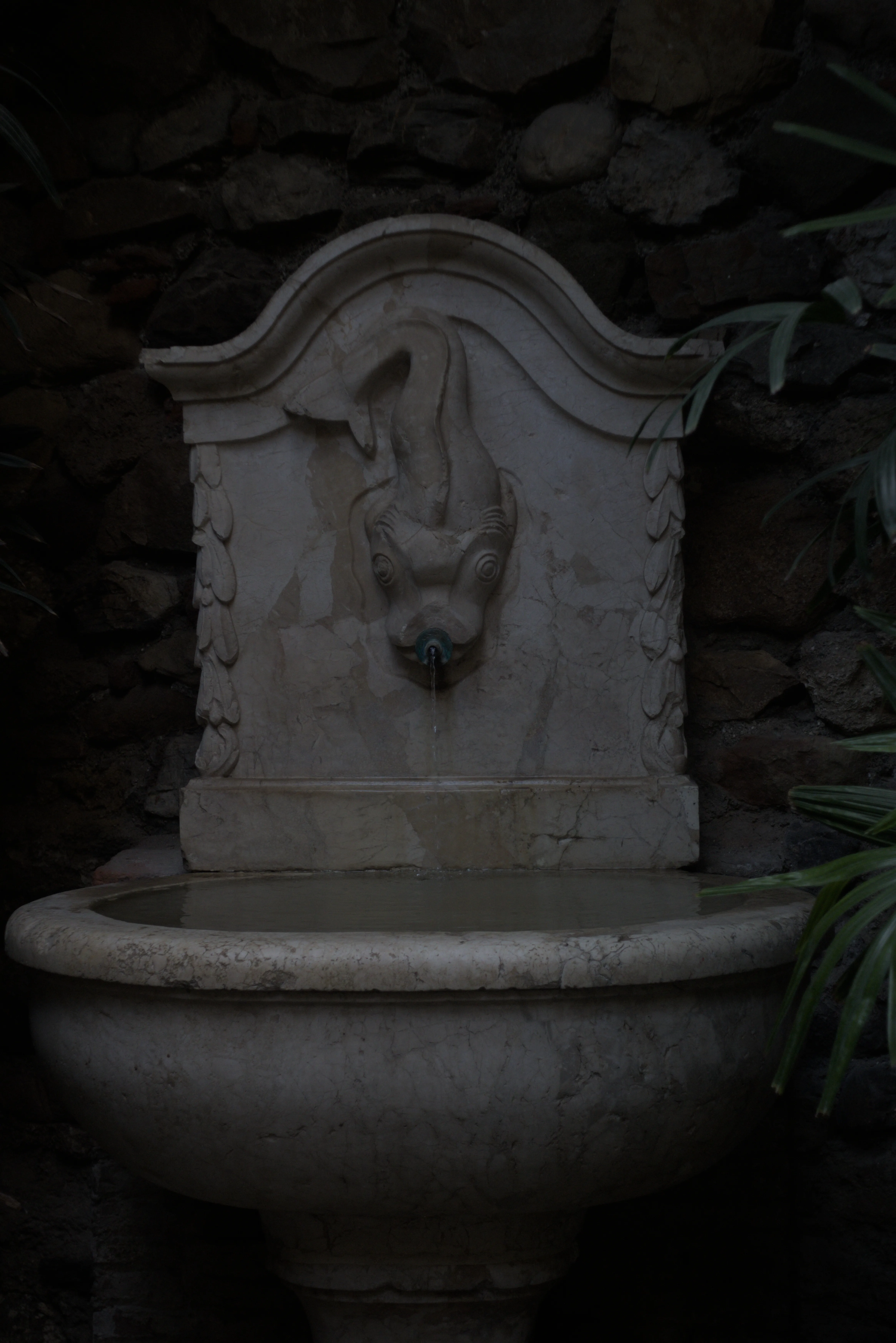 Meyer-Optik Görlitz Primagon 35mm f4.5 (M42) - _I4A7344.webp